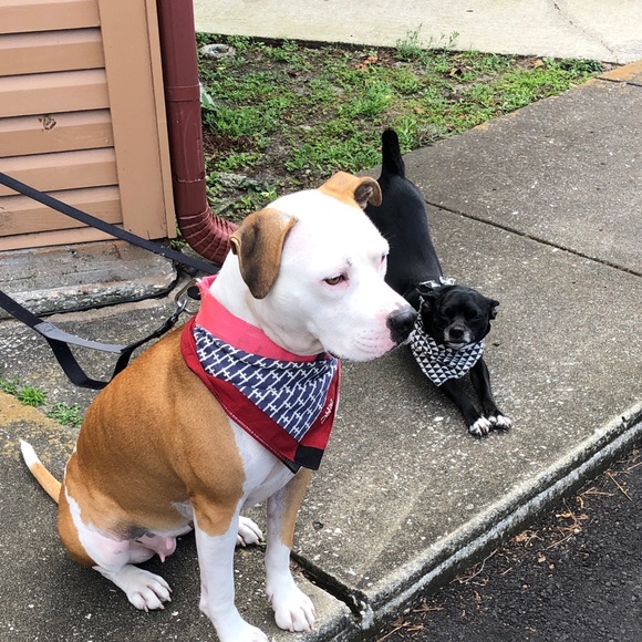 Meet your Posher, Mike - Picture 1 of 1